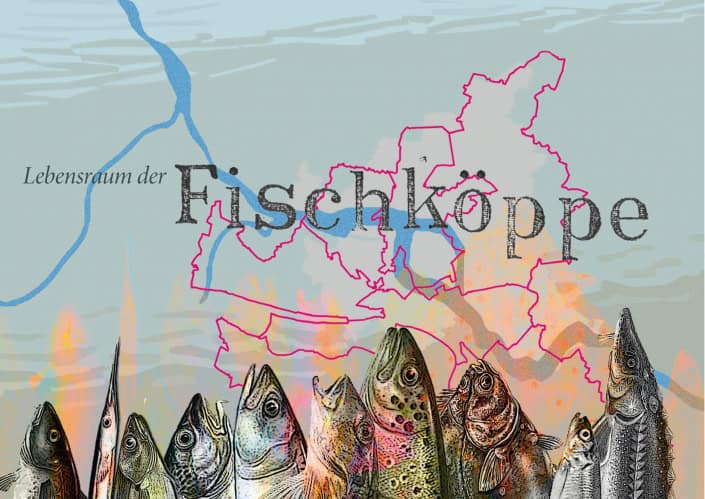 Fischköppe Illustration