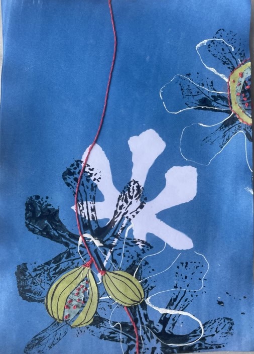 Feige_Cyanotypie + Collage 20x30cm